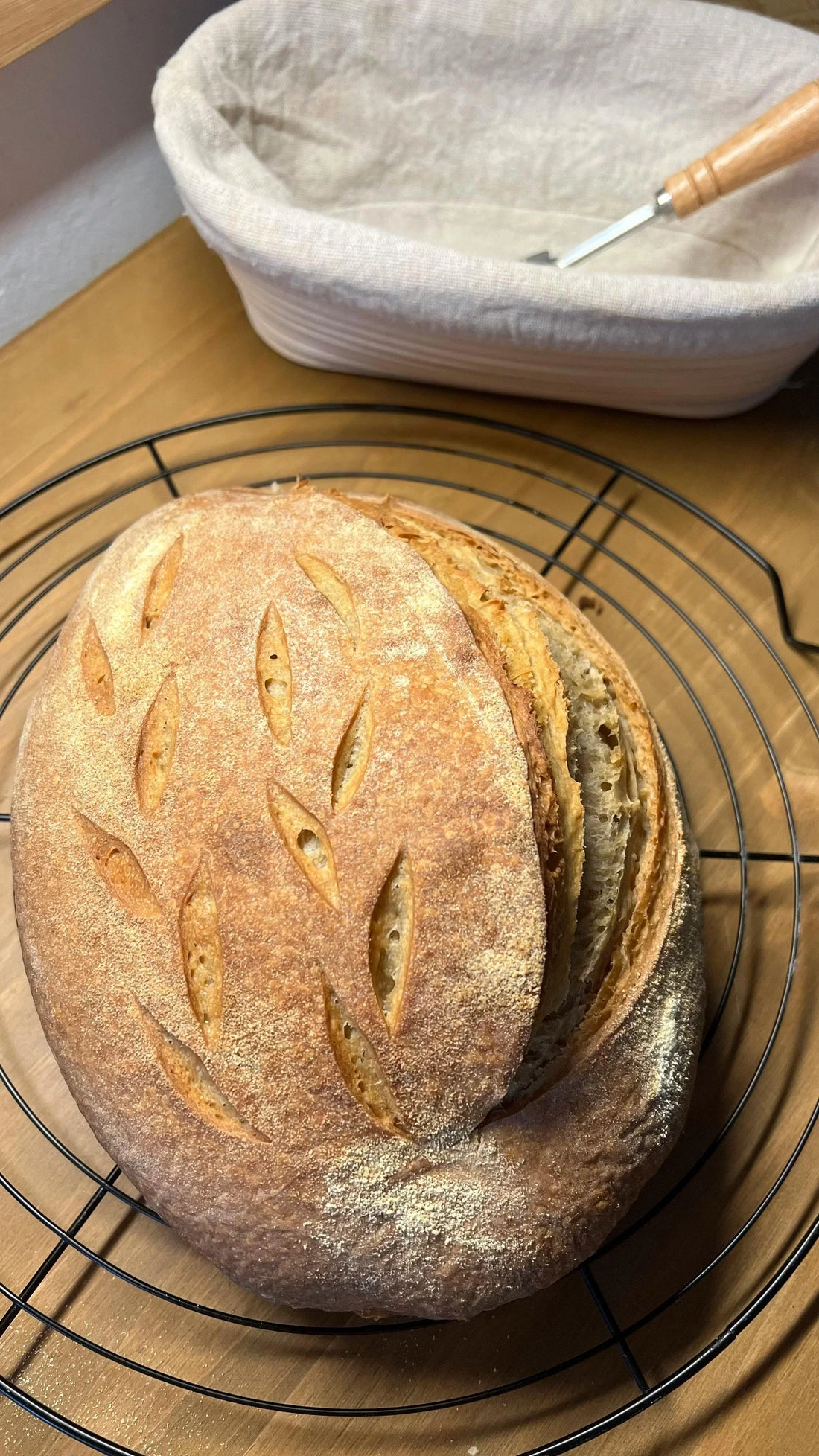 Welke rijsmand past bij jou? De gids voor zuurdesem & zelf brood bakken